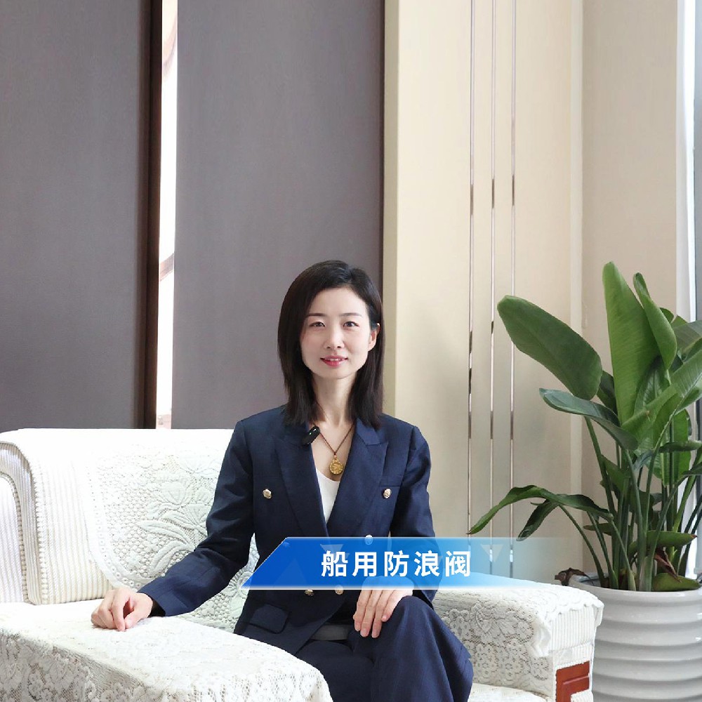閥門知識(shí)小課堂——船用防浪閥